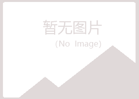 大新县青曼司机有限公司